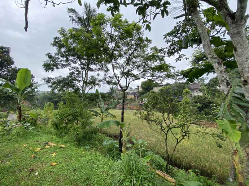 dijual tanah jl cibalung cijeruk bogor