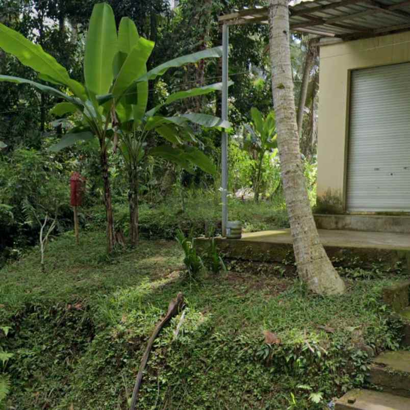 dijual tanah jl sedap malam br ketagon