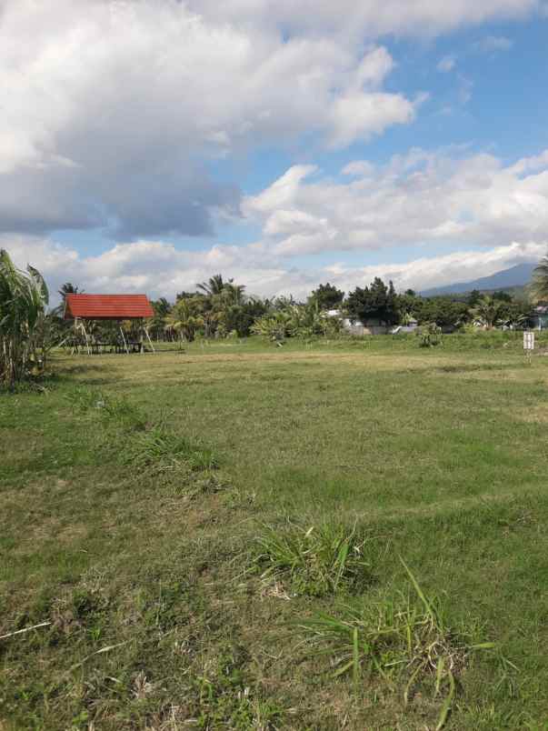 dijual tanah jln bangsal baru pemenang