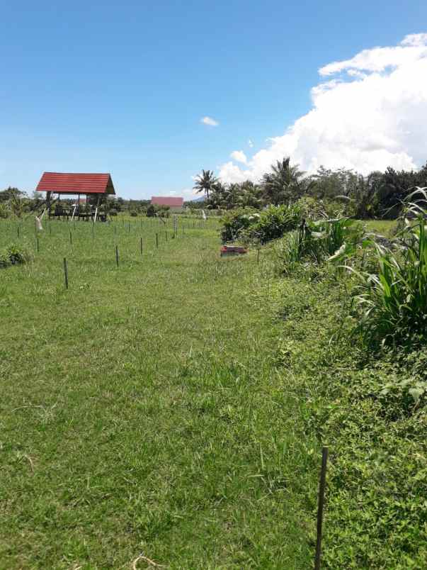 dijual tanah jln bangsal baru pemenang