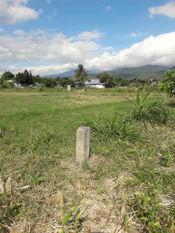 dijual tanah jln bangsal baru pemenang