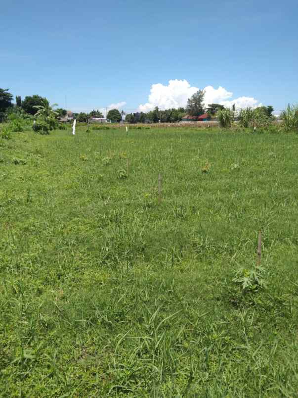 dijual tanah jln bangsal baru pemenang