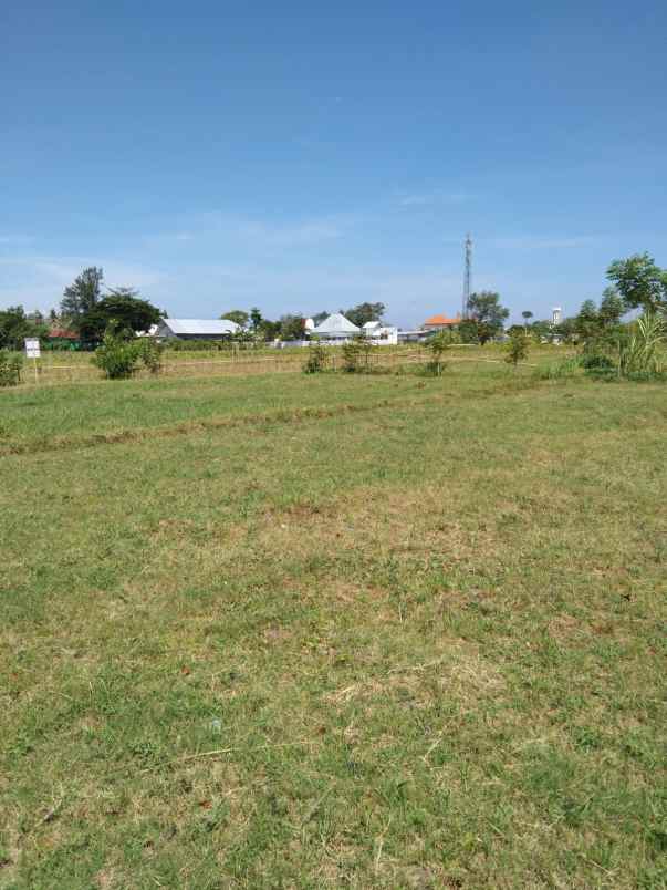 dijual tanah jln bangsal baru pemenang