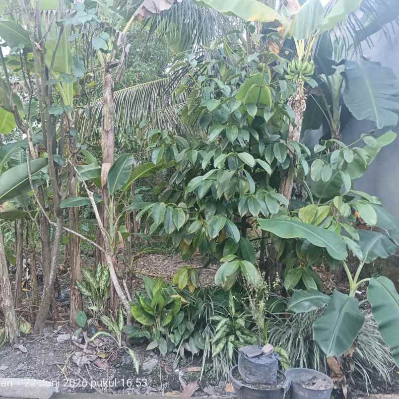 dijual tanah jln i wayan teruna