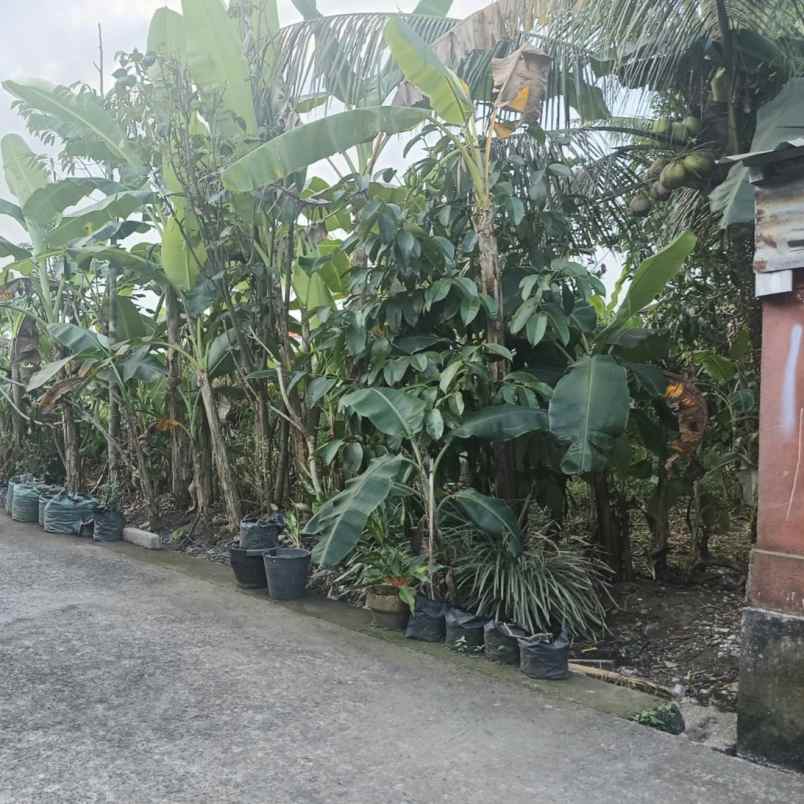 dijual tanah jln i wayan teruna
