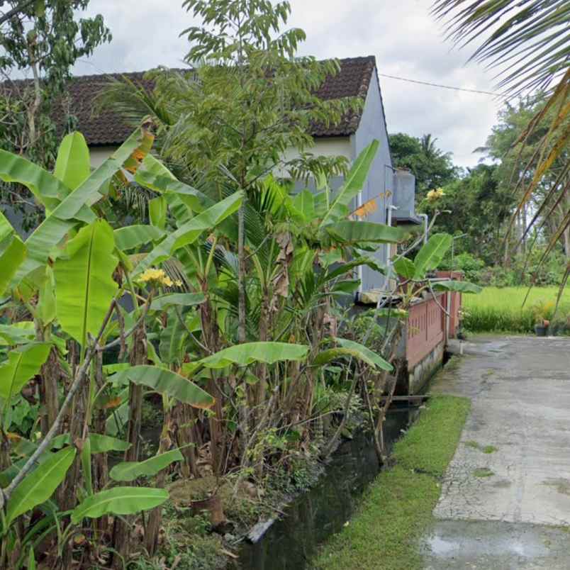 dijual tanah jln i wayan teruna