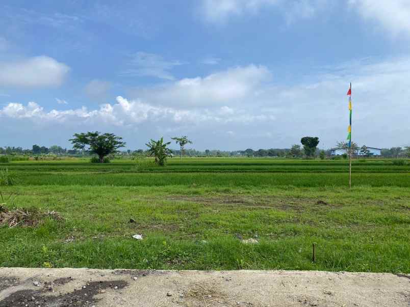 dijual tanah joton jogonalan klaten