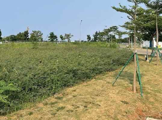 dijual tanah kavling brooklyn avenue pik2