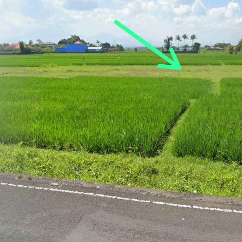 dijual tanah kediri