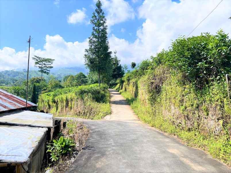 dijual tanah kemining ngargoyoso