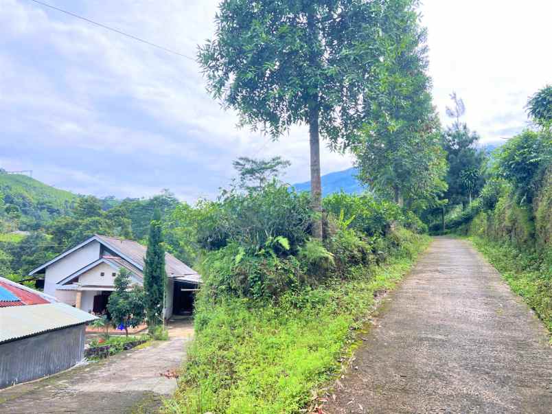 dijual tanah kemining ngargoyoso