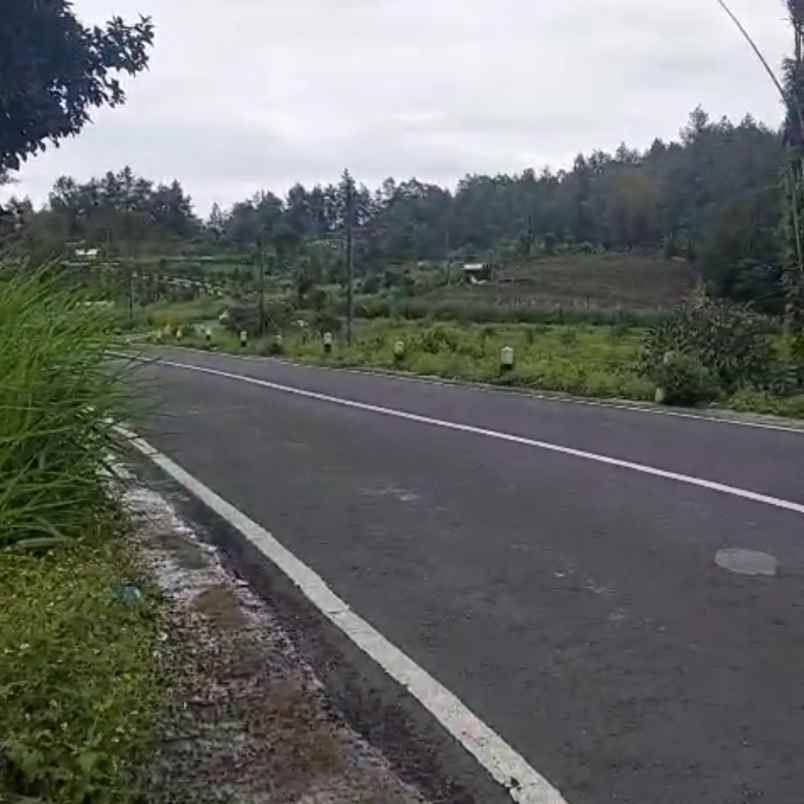 dijual tanah kintamani bangli bali