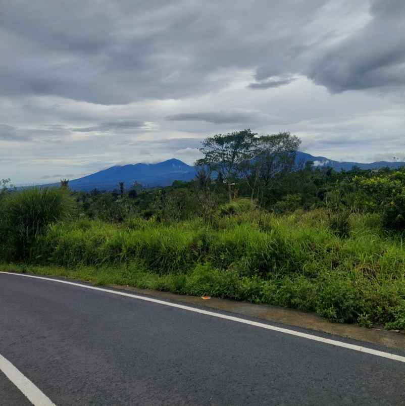 dijual tanah kintamani bangli bali