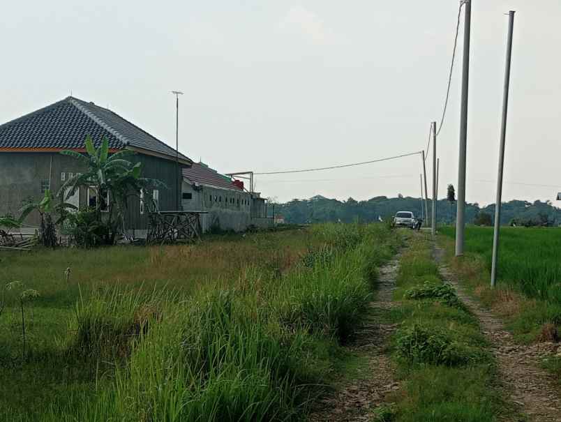 dijual tanah kosong kavling dekat itb arjawinangun