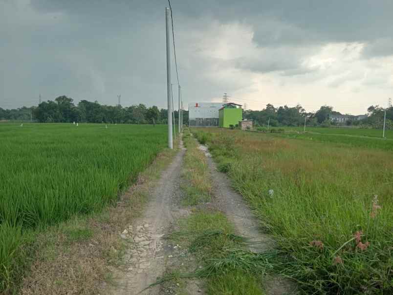 dijual tanah kosong kavling dekat itb arjawinangun