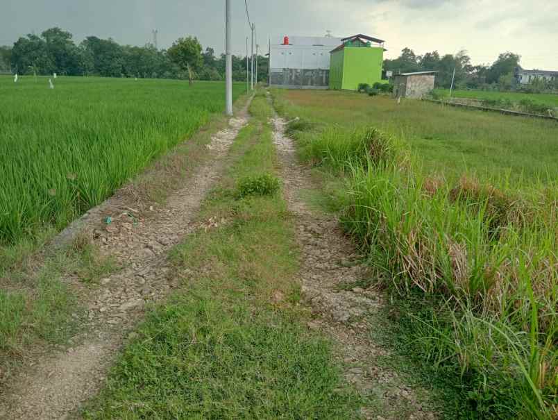 dijual tanah kosong kavling dekat itb arjawinangun