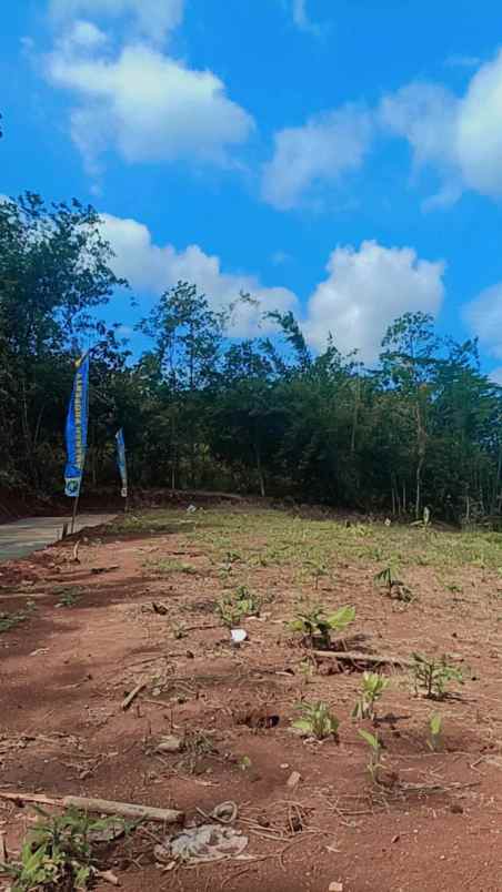 dijual tanah mijen semarang