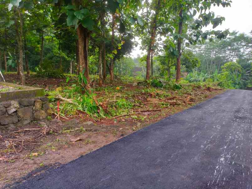 dijual tanah paluombo bendosari sukoharjo