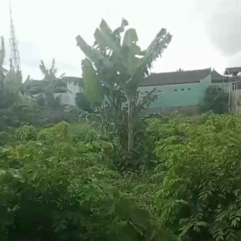 dijual tanah raya canggu ketobokan