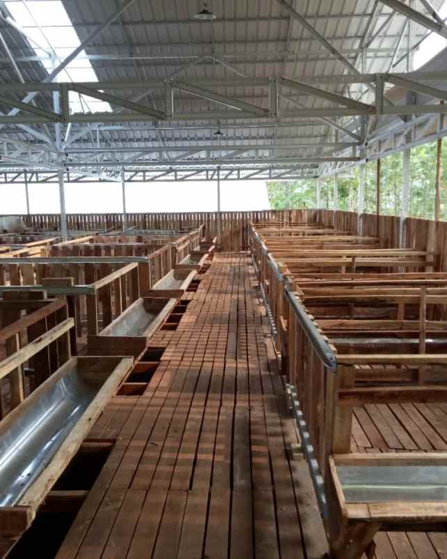 dijual tanah selawangi tanjungsari bogor