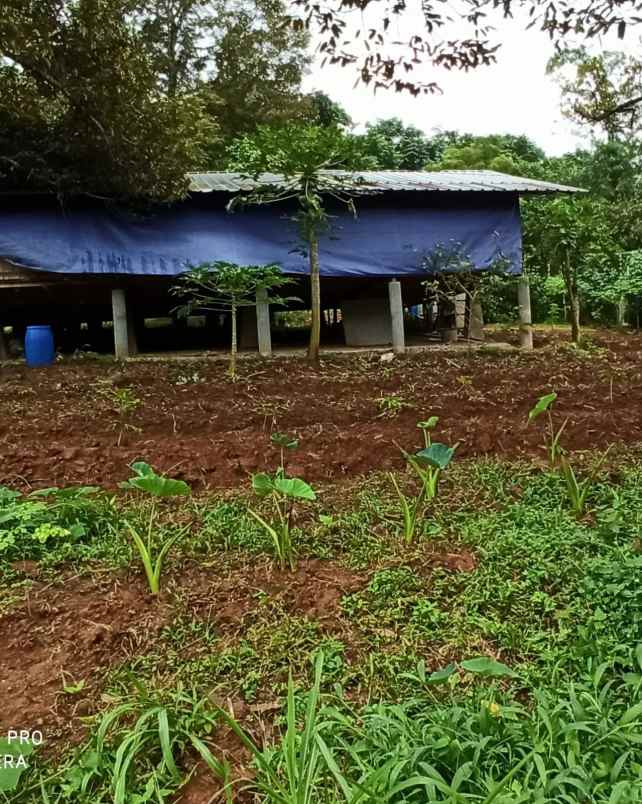 dijual tanah selawangi tanjungsari bogor