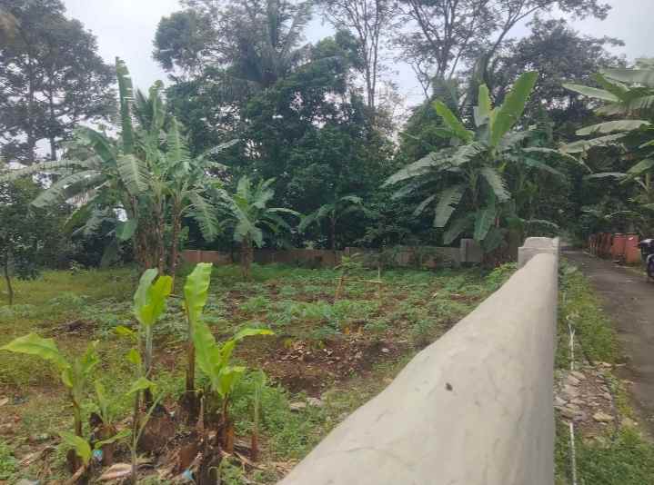 dijual tanah setia negara kec cilimus