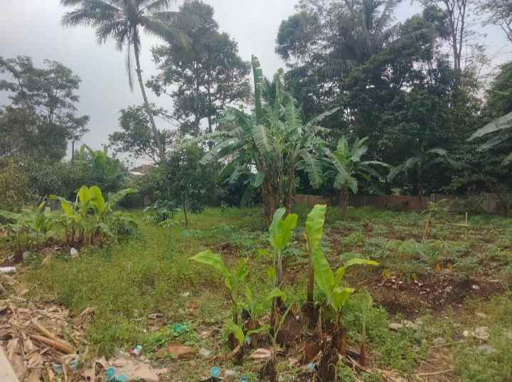 dijual tanah setia negara kec cilimus