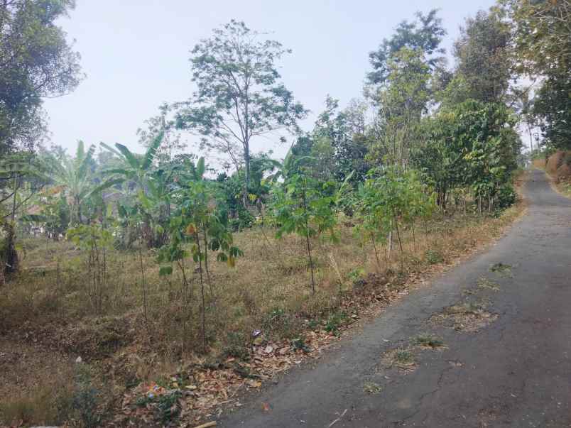 dijual tanah strategis pinggir jalan udara sejuk