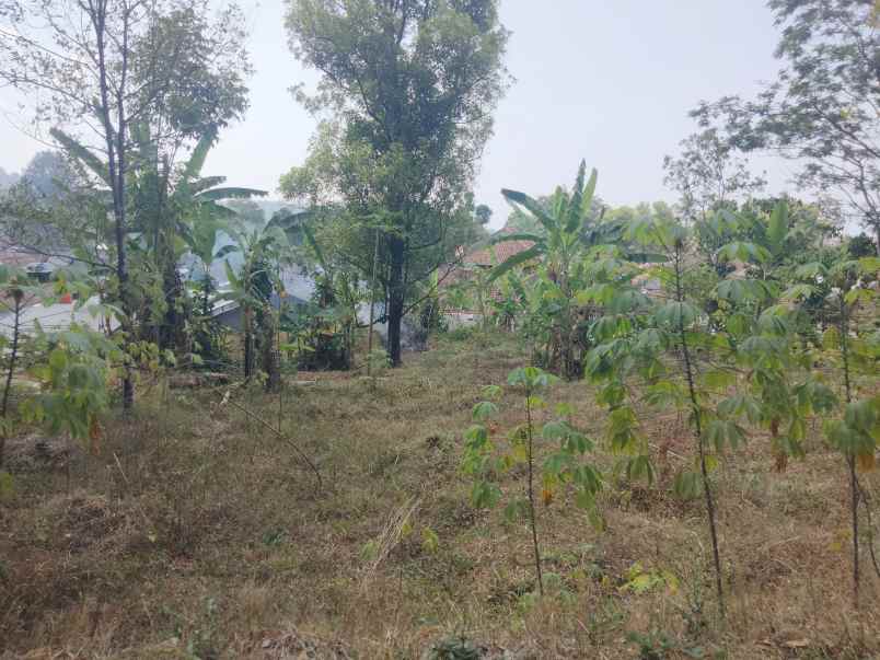 dijual tanah strategis pinggir jalan udara sejuk