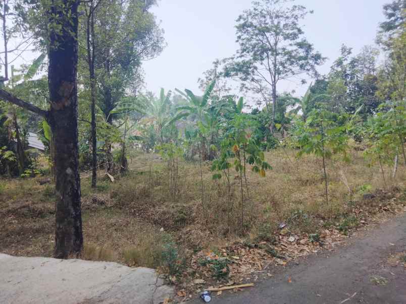 dijual tanah strategis pinggir jalan udara sejuk