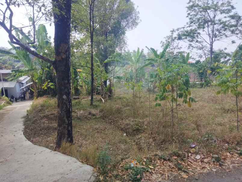 dijual tanah strategis pinggir jalan udara sejuk