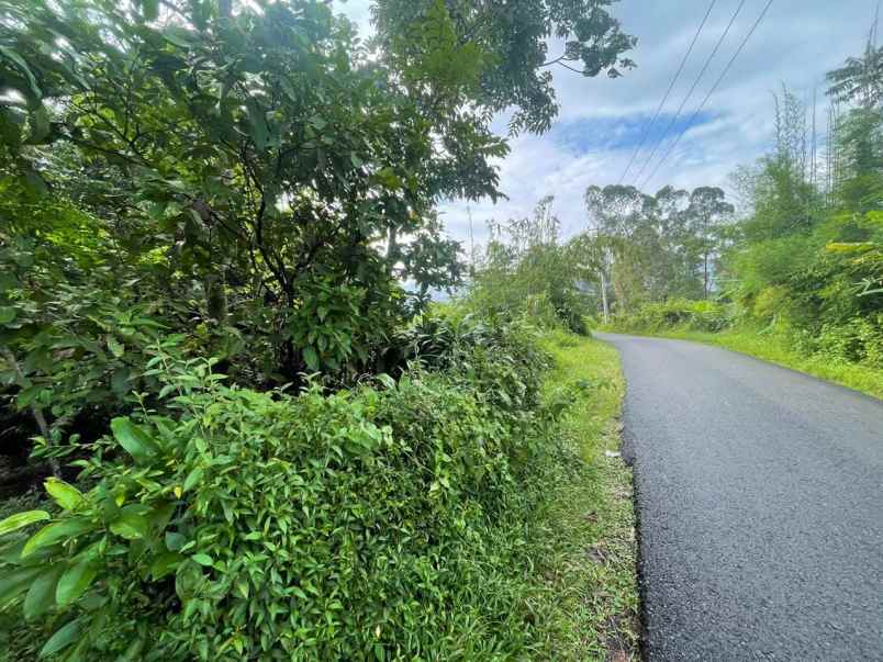 dijual tanah subang