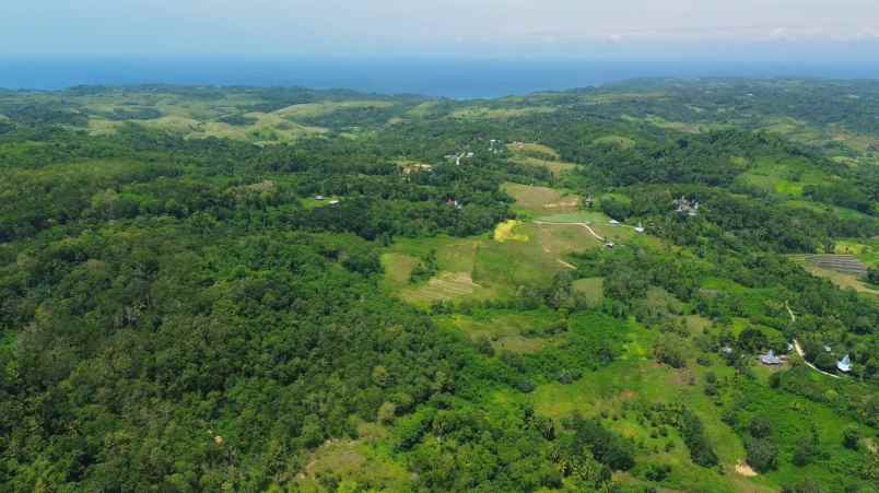 dijual tanah sumba barat