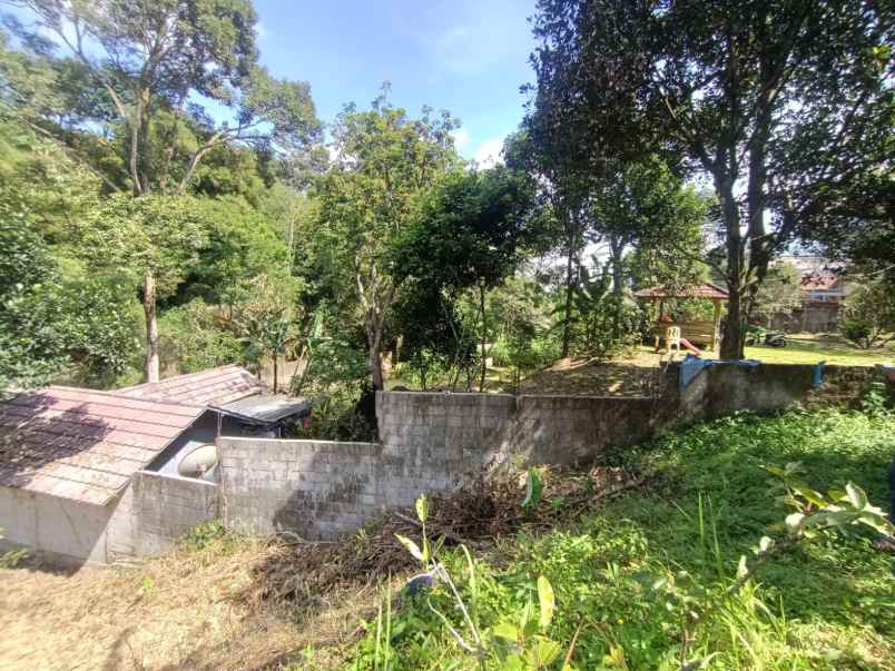 dijual tanah tajur halang cijeruk bogor