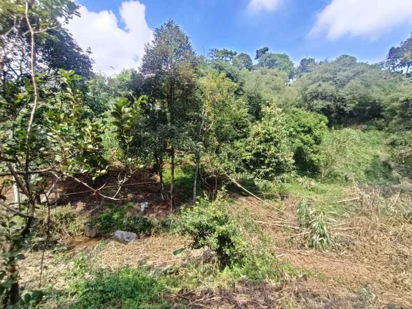 dijual tanah tajur halang cijeruk bogor