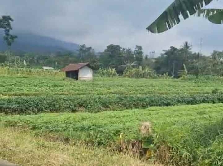 dijual tanah view gunung pinggir jl sangat strategis