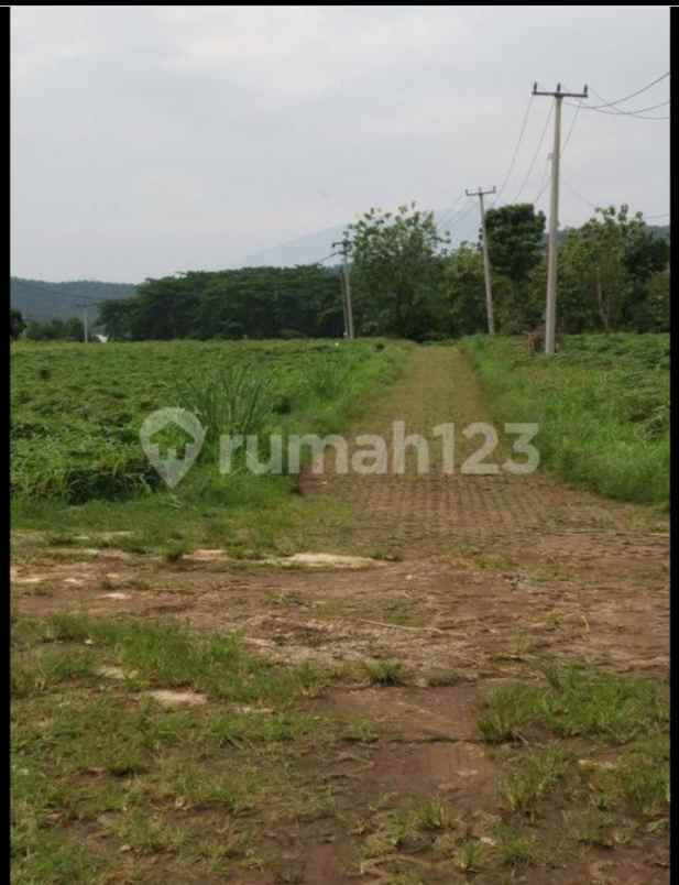 jual tanah pinggir jalan