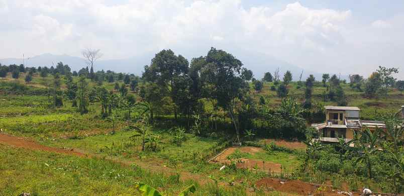 jual tanah puncak cisarua bogor