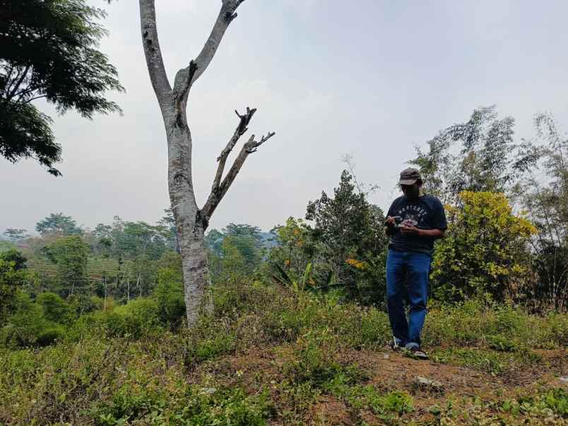 lahan istimewah di trawas