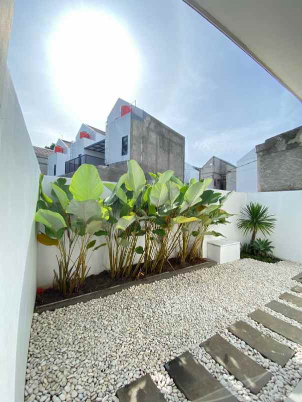 moderen minimalist with natural touch