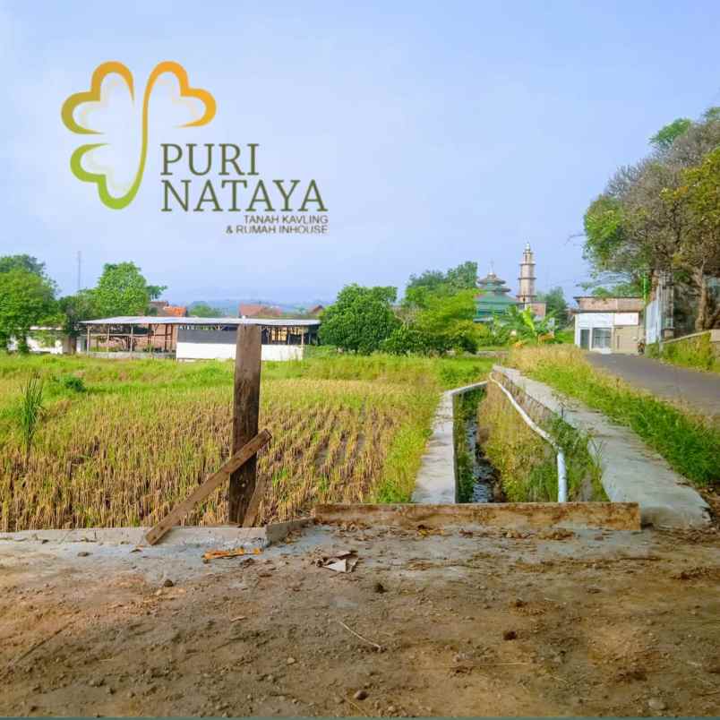 rumah halal tanpa riba cicilan langsung ke developer