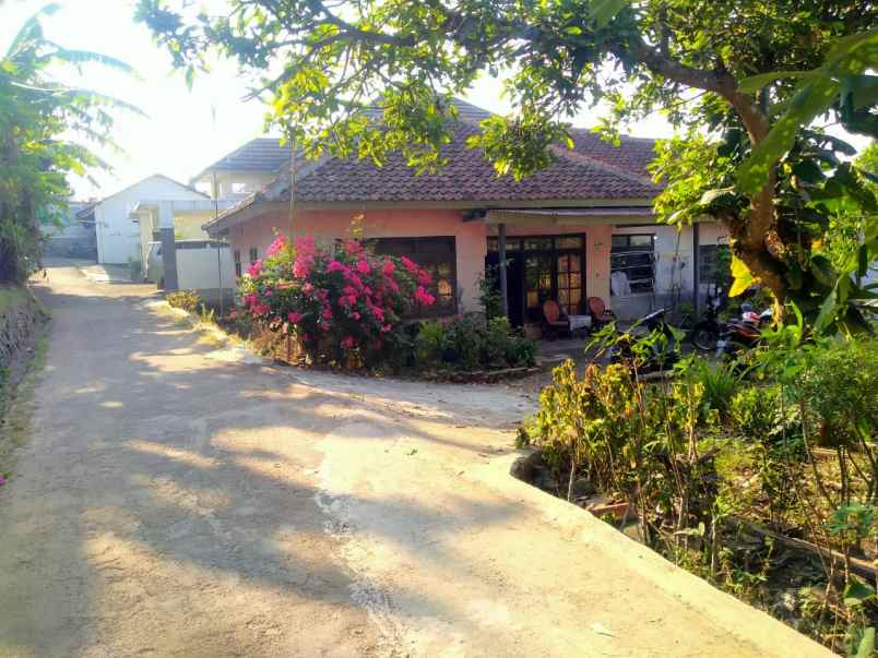 rumah kampung apa adanya layak huni