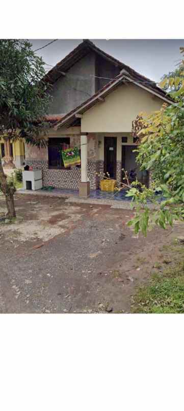 rumah kampung halaman luas siap huni