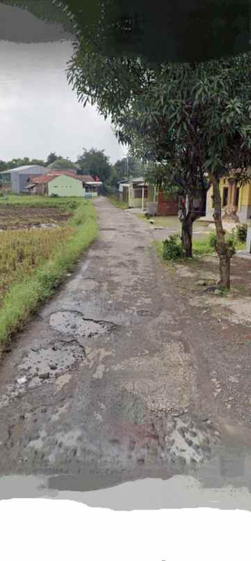 rumah kampung halaman luas siap huni