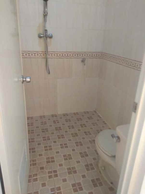 rumah kelapa kopyor kelapa gading