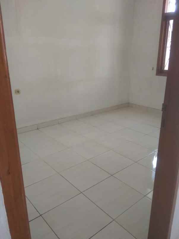 rumah kelapa kopyor kelapa gading