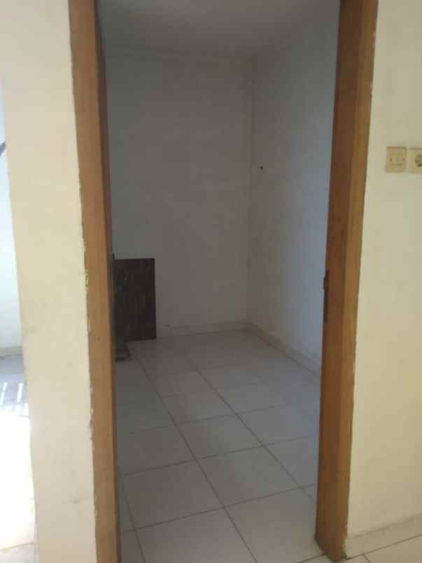 rumah kelapa kopyor kelapa gading