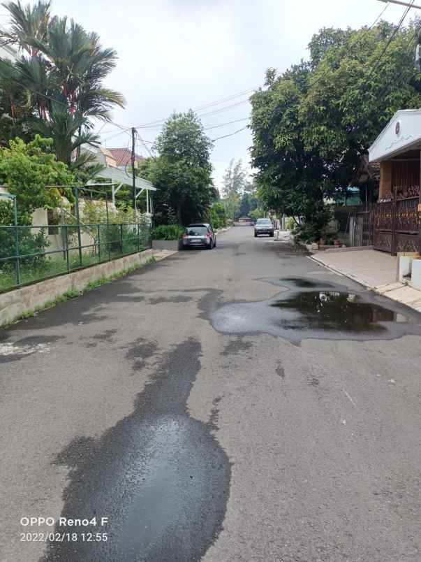 rumah kelapa puyuh kelapa gading