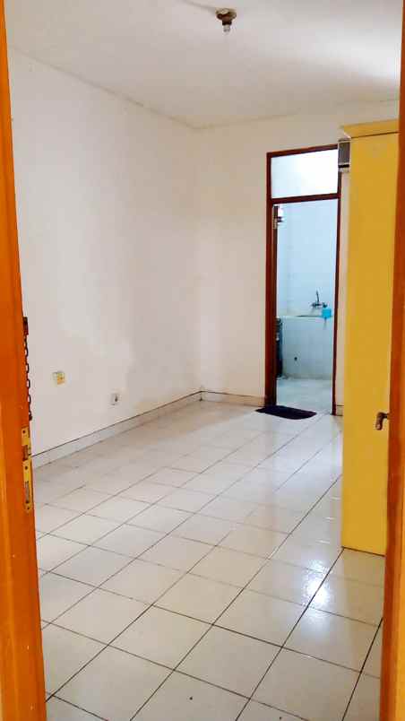 rumah kelapa puyuh kelapa gading