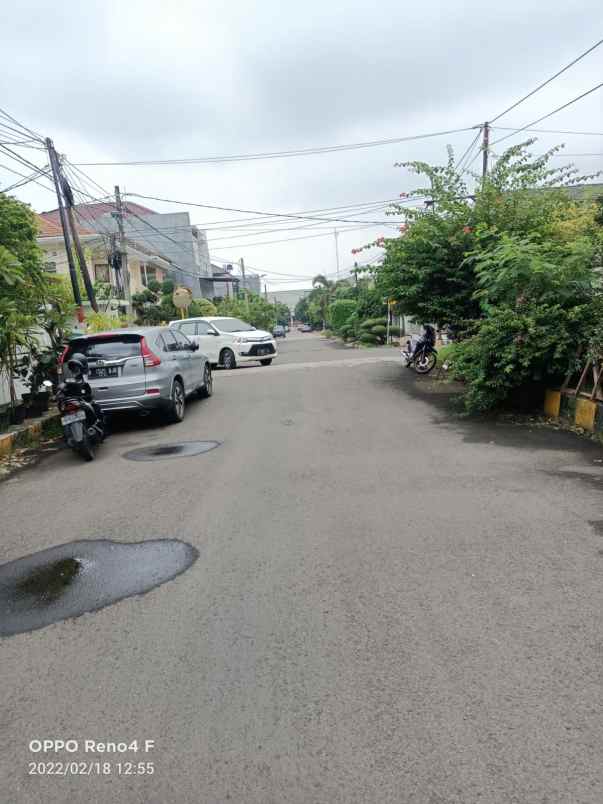 rumah kelapa puyuh kelapa gading